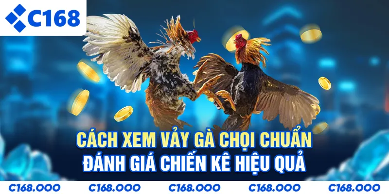Cách Xem Vảy Gà Chọi Chuẩn - Đánh Giá Chiến Kê Hiệu Quả