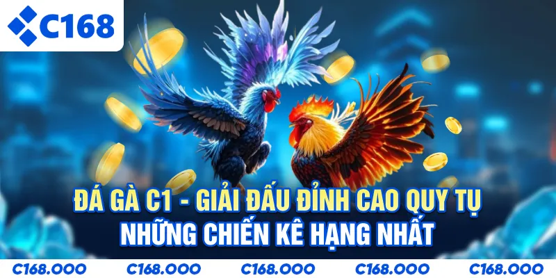 Đá Gà C1 - Giải Đấu Đỉnh Cao Quy Tụ Những Chiến Kê Hạng Nhất