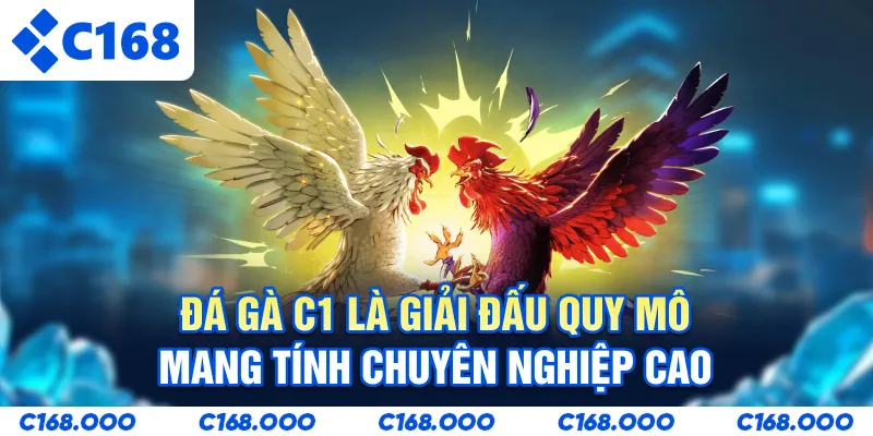 Đá gà C1 là giải đấu quy mô mang tính chuyên nghiệp cao