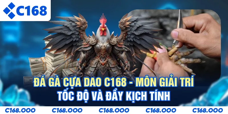 Đá Gà Cựa Dao C168 - Môn Giải Trí Tốc Độ Và Đầy Kịch Tính