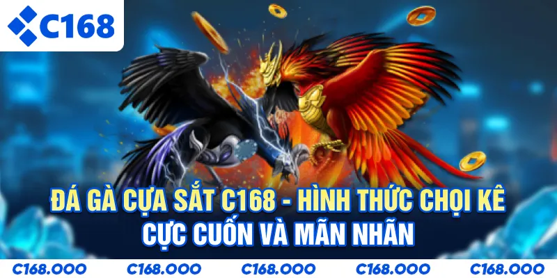 Đá Gà Cựa Sắt C168 - Hình Thức Chọi Kê Cực Cuốn Và Mãn Nhãn