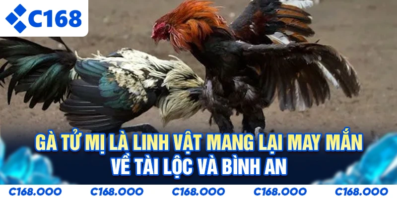 Gà Tử Mị là linh vật mang lại may mắn về tài lộc và bình an