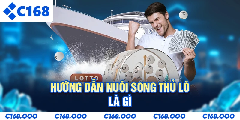 Hướng dẫn nuôi Song thủ lô là gì