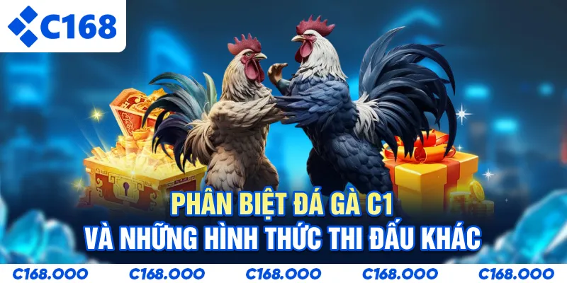 Phân biệt đá gà C1 và những hình thức thi đấu khác